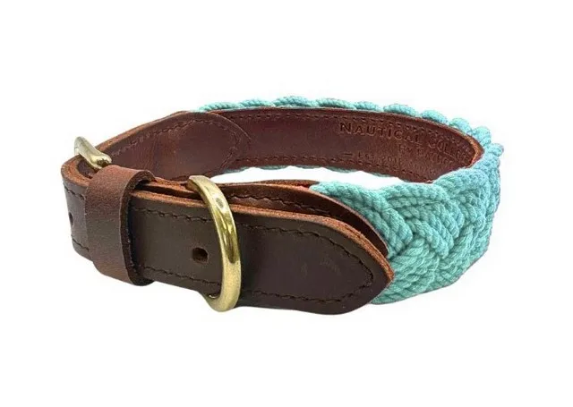 1ea Baydog Medium Sea Foam Seaside Collar - Hard Goods